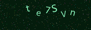 Validation image
