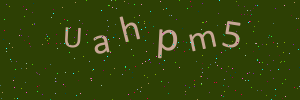 Validation image